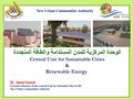 Central Unit for Sustainable Cities and Renewable Energy.pdf