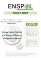 1st ENSPOL Policy Brief.pdf