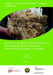 Overview of the Waste-to-Energy Potential for Grid-connected Electricity Generation (Solid Biomass and Biogas) in Indonesia