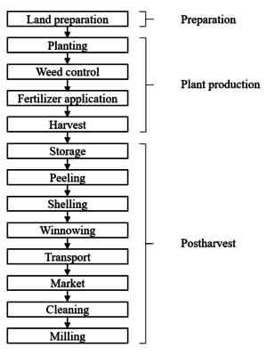 Maize value chain.png