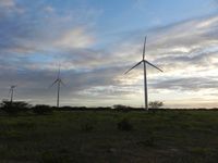 wind park in Rio Grande do Norte-state (Brazil)