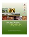 Proyectos de Biomasa en Chile.pdf