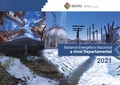 Balance Energetico Departamental (BED) VF.pdf
