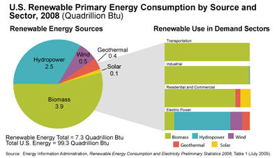 Renewable Primary Energy consumption by source and sector.jpg