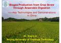 Biogas Production from Crop Straw through Anaerobic Digestion.pdf