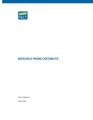 EN-Biofuels from Coconuts-Krishna Raghavan.pdf