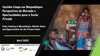 Webinar Presentation (Portuguese): Clean Cooking in Mozambique: Market Status and Opportunities for the Private Sector